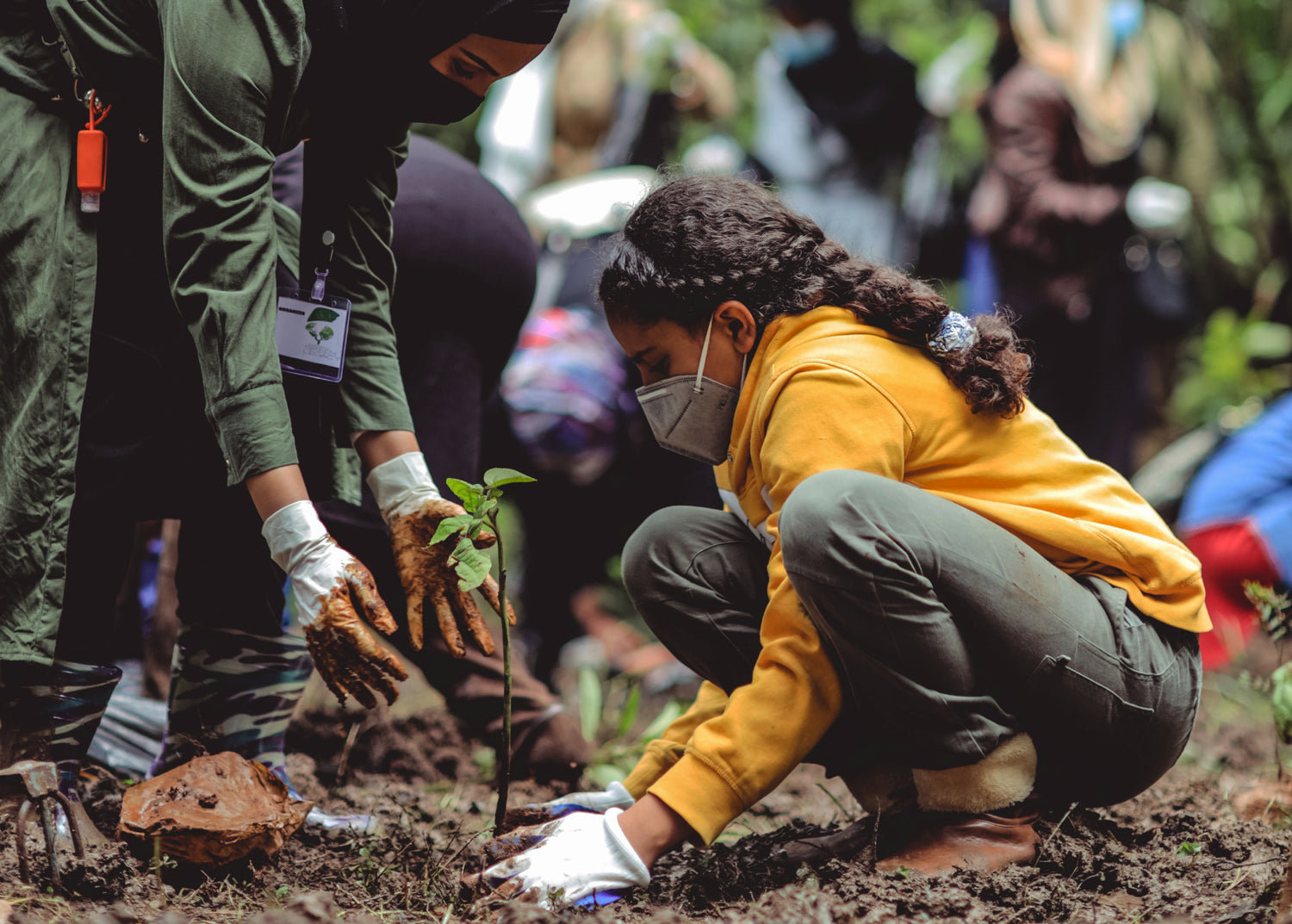 Young girl in a group of people planting a small trees