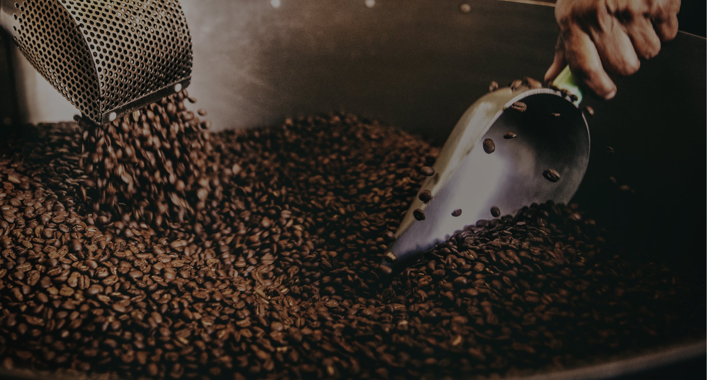 Freshly roasted coffee beans in a metal container
